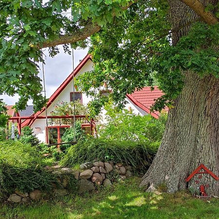 Apartmán Haus Jasmin Bodstedt Exteriér fotografie